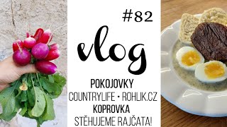 VLOG 82  naše pokojovky CountryLife amp Rohlík koprovka zahrada 🌱 [upl. by Eiloj]