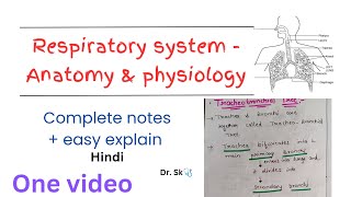 Complete Respiratory System  Anatomy amp Physiology notes in one video  hindi  easy explanation [upl. by Llednyl]