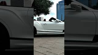 Trade Alert … 2022 Bentley Continental GTC Speed carsbysteven [upl. by Ennove593]