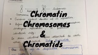 What is the difference between Chromatin chromosomes and chromatids [upl. by Pike]