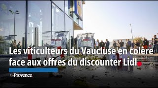 Les viticulteurs du Vaucluse en colère face aux offres du discounter Lidl [upl. by Dammahum321]