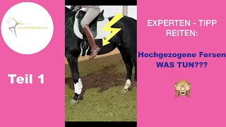 EXPERTEN  TIPP REITEN TEIL 1  Hochgezogene Fersen  WAS TUN [upl. by Yentrac]