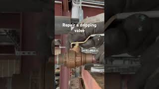 How to stop a dripping valve [upl. by Arreit]