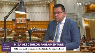 Radu Moisin „PNL propune comasarea județelor și reducerea numărului de bugetari” [upl. by Zetrom]