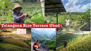 Bali explora  Rice Terrace Ubud  Series 2024  Nikhil Sharma Director  Things to do in Bali  01 [upl. by Kaitlin855]