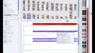 ChAS Analysis Workflow [upl. by Loretta]