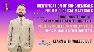 Identification Of Biochemicals From Biological Materials Tests For Carbohydrate Protein and Lipid [upl. by Giwdul]