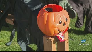 Oahu families getting creative with Halloween during the pandemic [upl. by Enilrem58]