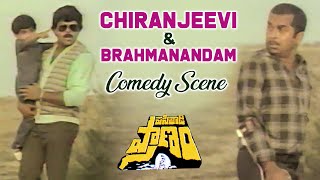 Pasivadi Pranam Movie Scenes  Chiranjeevi amp Brahmanandam Comedy Scene  Vijayashanthi Raghuvaran [upl. by Gerri]