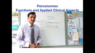 Peroxisomes  Functions and Applied Clinical Aspects [upl. by Kiehl]