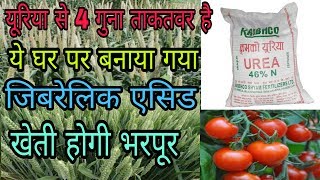 Gibberellic Acid के बारे में संपूर्ण जानकारी [upl. by Goldina]