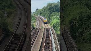 221125 passing 800316 while approaching Tavistock Junction Sunday 1 September 2024 [upl. by Gnel]