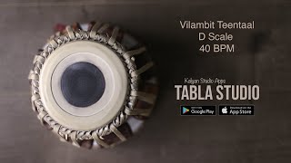 Teentaal Tabla Loop  Vilambit Teentaal Teka D Scale 40BPM  Tabla Studio [upl. by Aisital]