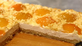 Saftiger Aprikosenkuchen mit Streusel und Quark vom Blech ohne Kneten Marillenkuchen mit Topfen [upl. by Ellesig616]