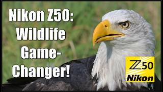 Ultimate Nikon Z50 Review for Wildlife Setup amp Stunning Example Shots [upl. by Adnihc]