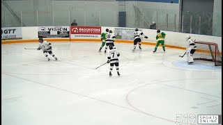 PJHL  Dorchester Dolphins vs Hespeler Shamrocks [upl. by Claudianus]