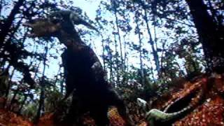 Edmontosaurus VS Raptors TRex pt1 [upl. by Aitra320]