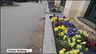 Szeged Hungary Walk City Center Walking Tour 4k ▶11min [upl. by Etnahsa]