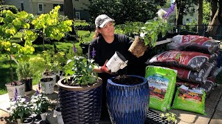 Planting The Big Blue Containers For Summer 🌻  Dirt and Dish [upl. by Nadean160]