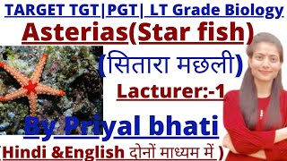 UPTGT PGT BiologyAsterias सितारा मछलीLTgrade biologyGIC biologyuptgtpgtbiology2022 [upl. by Yffub121]