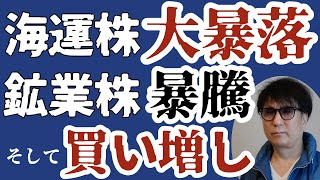 海運株大暴落鉱業株暴騰そして買い増し [upl. by Barry759]