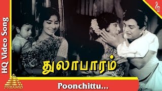 Poonchittu Video Song Thulabaram Tamil Movie Songs  Sharadha A V M Rajan Pyramid Music [upl. by Atiuqal797]