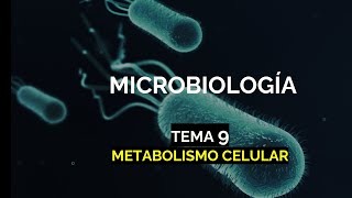 Metabolismo celular  Anabolismo y catabolismo tema 9  Microbacter [upl. by Haakon]