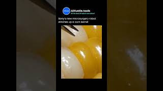 Sonys new microsurgery robot stitches up a corn kernel shorts [upl. by Anitselec]