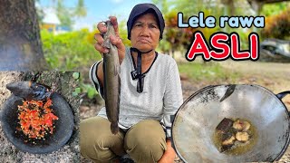 03 MAKAN LELE GORENG DAN DAUN PEPAYA REBUS [upl. by Adnahs]