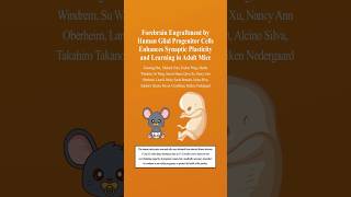 Super Mice With Human Brain Cells [upl. by Nezah]