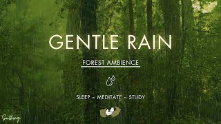 Gentle Rain On Forest Ground  NO MIDROLL ADS  Soft Rain Sounds For Sleeping [upl. by Nnylarak]