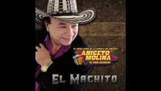 Aniceto Molina  El Machito Remix Dj Carlos Nicaragua [upl. by Eeslek367]