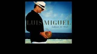 Luis Miguel  Labios de Miel Sencillo Oficial con Letra [upl. by Gaiser]