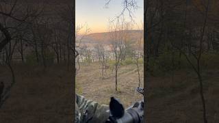 First Deer  Crossbow 🦌 deerhunting bucks deer vortex wildlife [upl. by Ynnot]