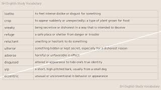 SH English Vocabulary Next 7 [upl. by Ellicott]