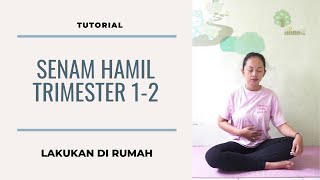 Panduan Mudah Senam Hamil Trimester 1  2 di rumah [upl. by Ative]