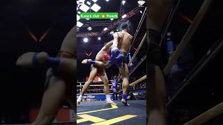 Muay Thai Knock Out Punch [upl. by Eldin620]