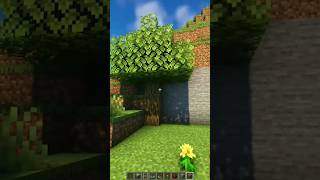 Minecraft secret entrance 🤫 minecraft gaming build buildhacks trending shorts [upl. by Hauhsoj]