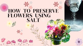 How To Preserve Flowers Using Salt 🧂HowTo Dry 🌸 flowers 🌺ලුණු වලින් මල් වේලමුද😱 🥀 [upl. by Hasan]