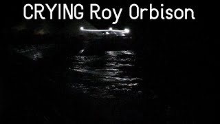 Crying  Roy Orbison  Violin Cover [upl. by Novat]