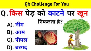 GK Question  GK In Hindi  GK Question and Answer  GK Quiz  BR GK STUDY [upl. by Annunciata]