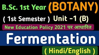 Fermentation in HindiTypes of FermentationBSc 1st Year 1st Semester Botany Unit 1 B Fermentation [upl. by Delastre]