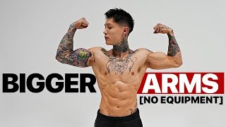 How To Get Bigger Arms Without Weights [upl. by Isej]