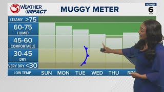 Humidity on the decline as a cold front brings drier air to South Texas [upl. by Anitnegra]