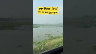 চলন বিলের সৌন্দর্য আপনাকে মুগ্ধ করবে। cholonbil trainjourney boatjourney fyp viralshort [upl. by Alleunamme]