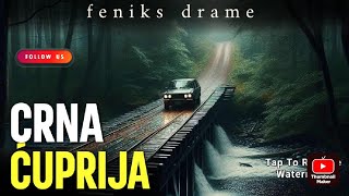 CRNA ĆUPRIJA  Istinita priča  HOROR PRIČA  Audio drama [upl. by Breh]