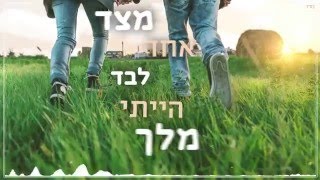 עומר אדם  שדות של תירוצים [upl. by Adnalro557]