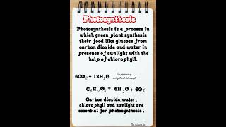 PHOTOSYNTHESISPROCESS OF PHOTOSYNTHESIS [upl. by Viviane351]