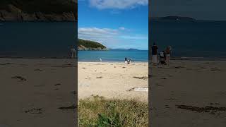 Maenporth Bay beach view nr Falmouth Cornwall England [upl. by Trillby]