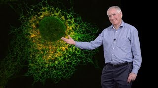 Tom Rapoport Harvard HHMI 2 How are cellular organelles shaped [upl. by Mattox]